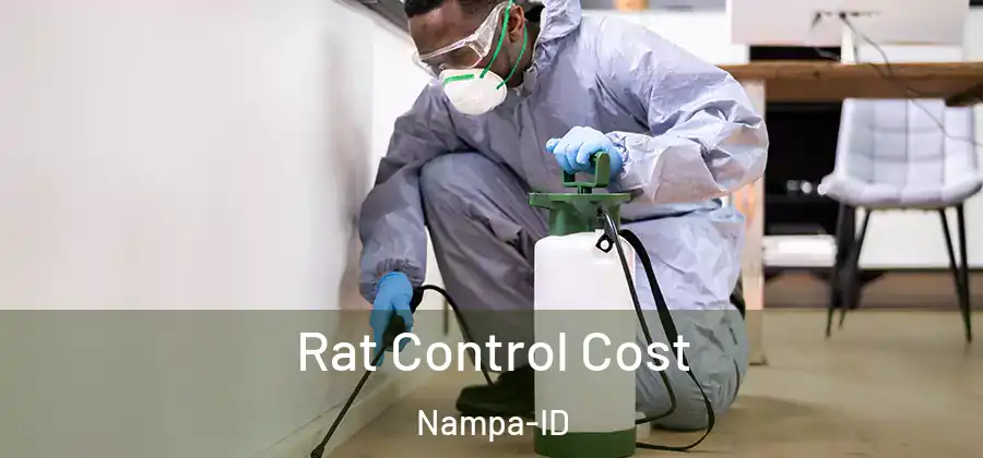Rat Control Cost Nampa-ID