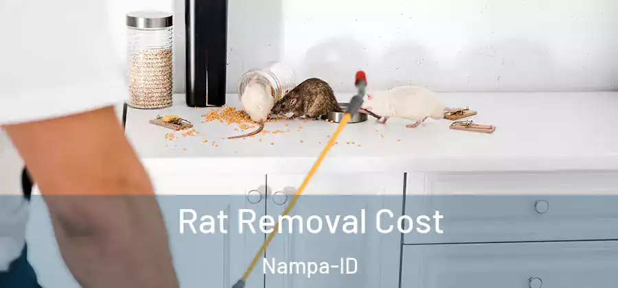  Rat Removal Cost Nampa-ID