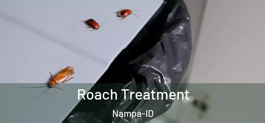  Roach Treatment Nampa-ID