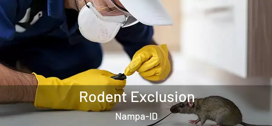 Rodent Exclusion Nampa-ID