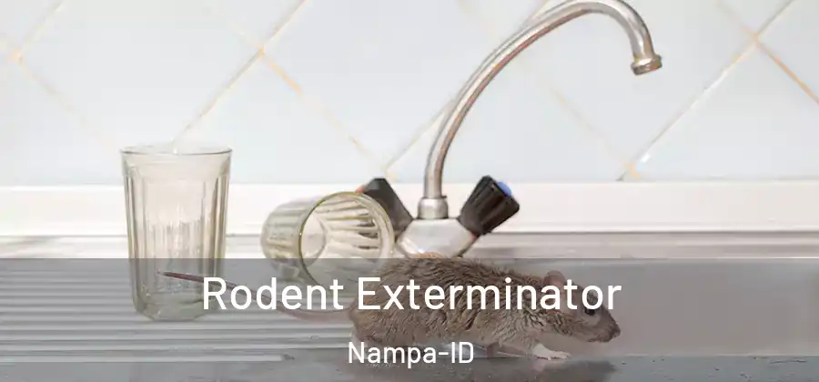 Rodent Exterminator Nampa-ID