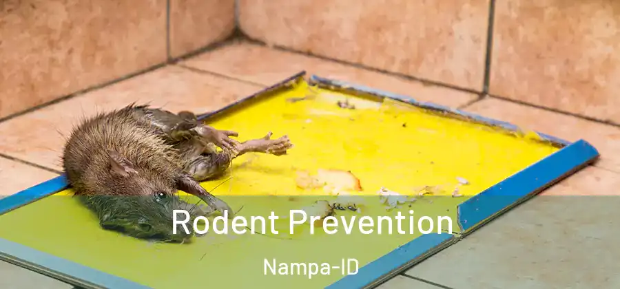  Rodent Prevention Nampa-ID