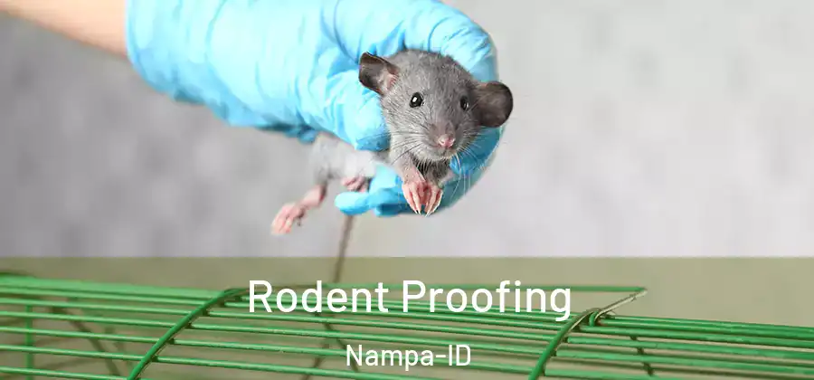  Rodent Proofing Nampa-ID