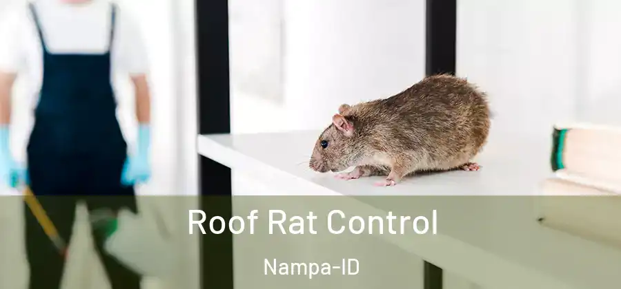 Roof Rat Control Nampa-ID