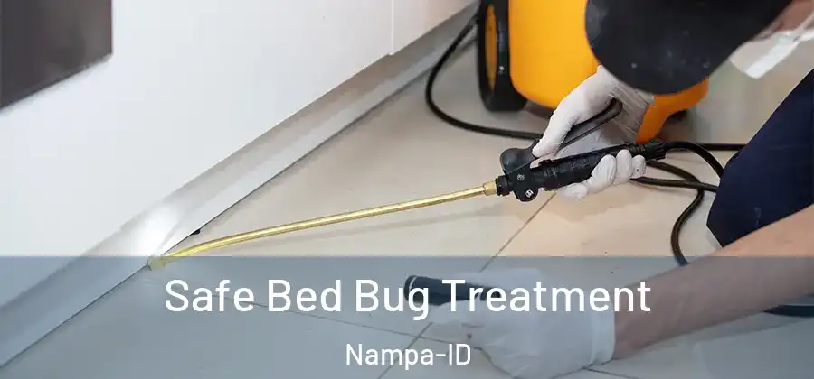  Safe Bed Bug Treatment Nampa-ID
