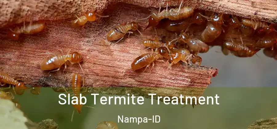 Slab Termite Treatment Nampa-ID