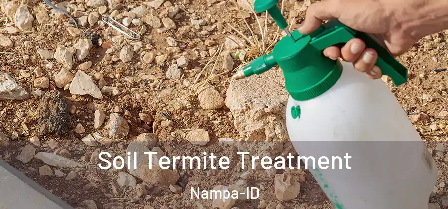 Soil Termite Treatment Nampa-ID