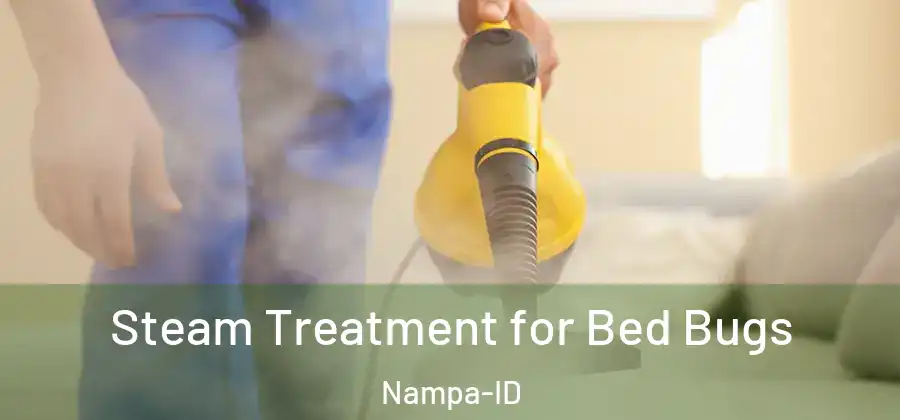 Steam Treatment for Bed Bugs Nampa-ID