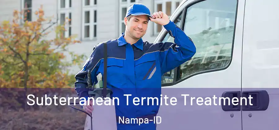 Subterranean Termite Treatment Nampa-ID