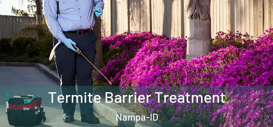 Termite Barrier Treatment Nampa-ID