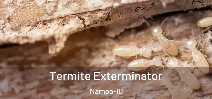  Termite Exterminator Nampa-ID