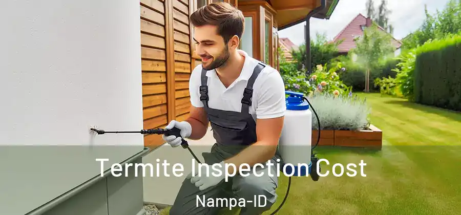  Termite Inspection Cost Nampa-ID