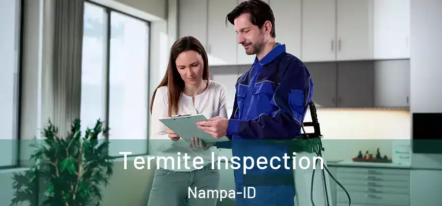  Termite Inspection Nampa-ID