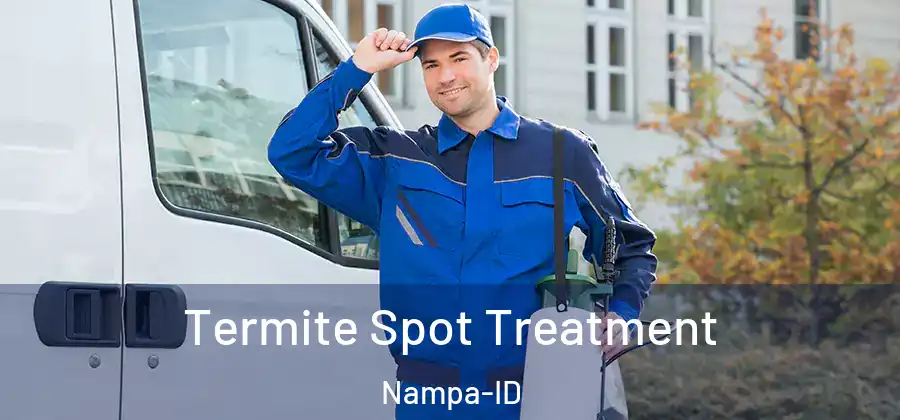 Termite Spot Treatment Nampa-ID