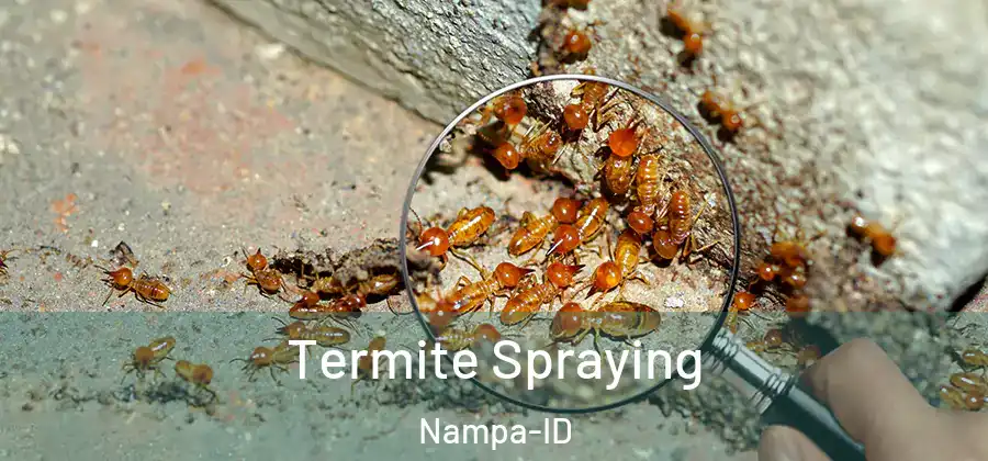  Termite Spraying Nampa-ID