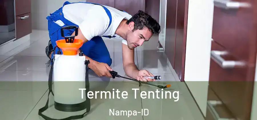  Termite Tenting Nampa-ID