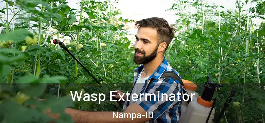 Wasp Exterminator Nampa-ID