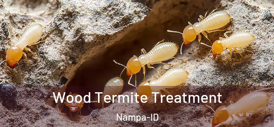 Wood Termite Treatment Nampa-ID