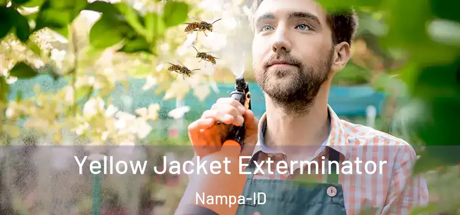Yellow Jacket Exterminator Nampa-ID